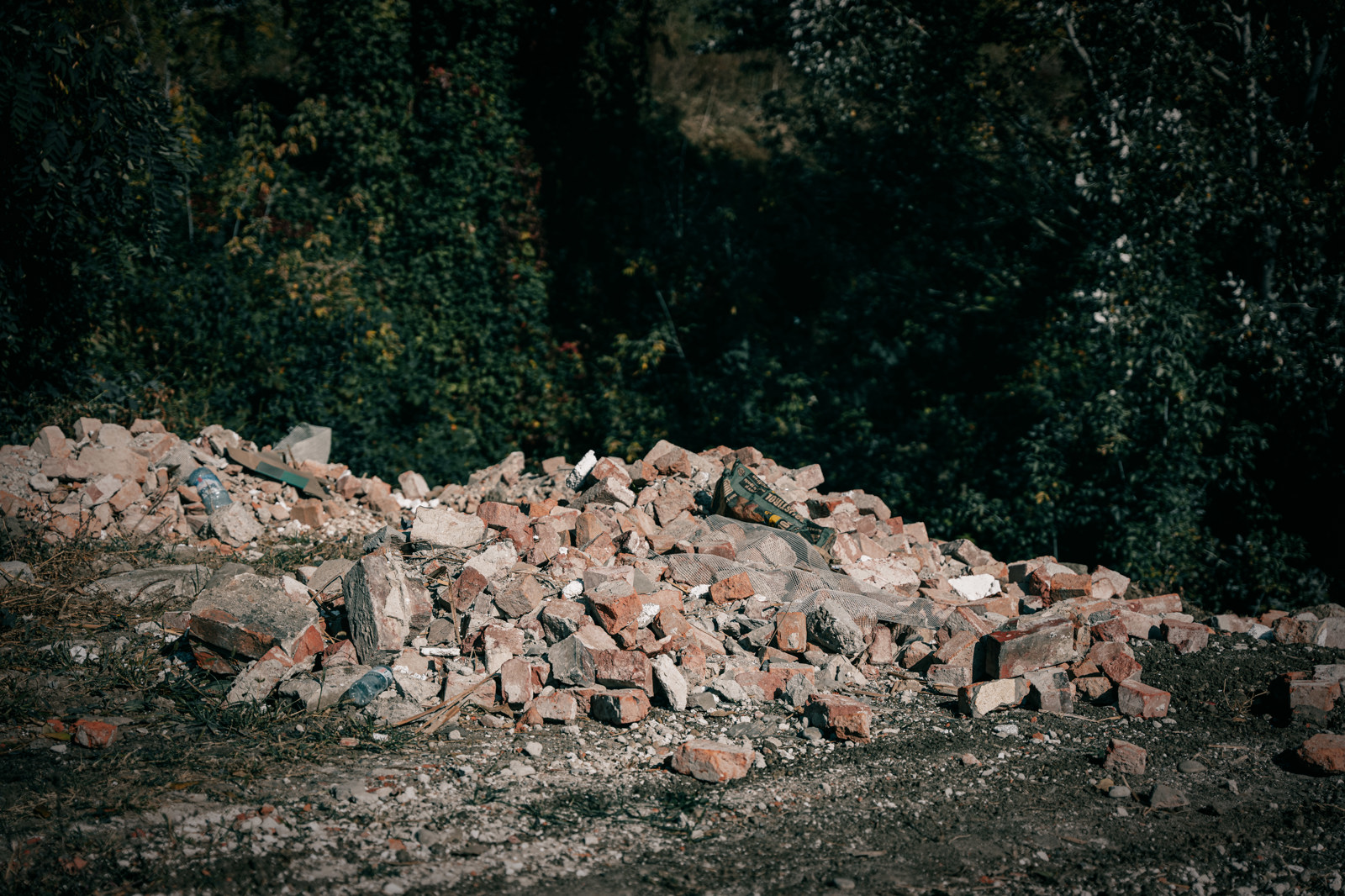 Poza produs Concurs foto: OBIECTIV: Câmpina Curată