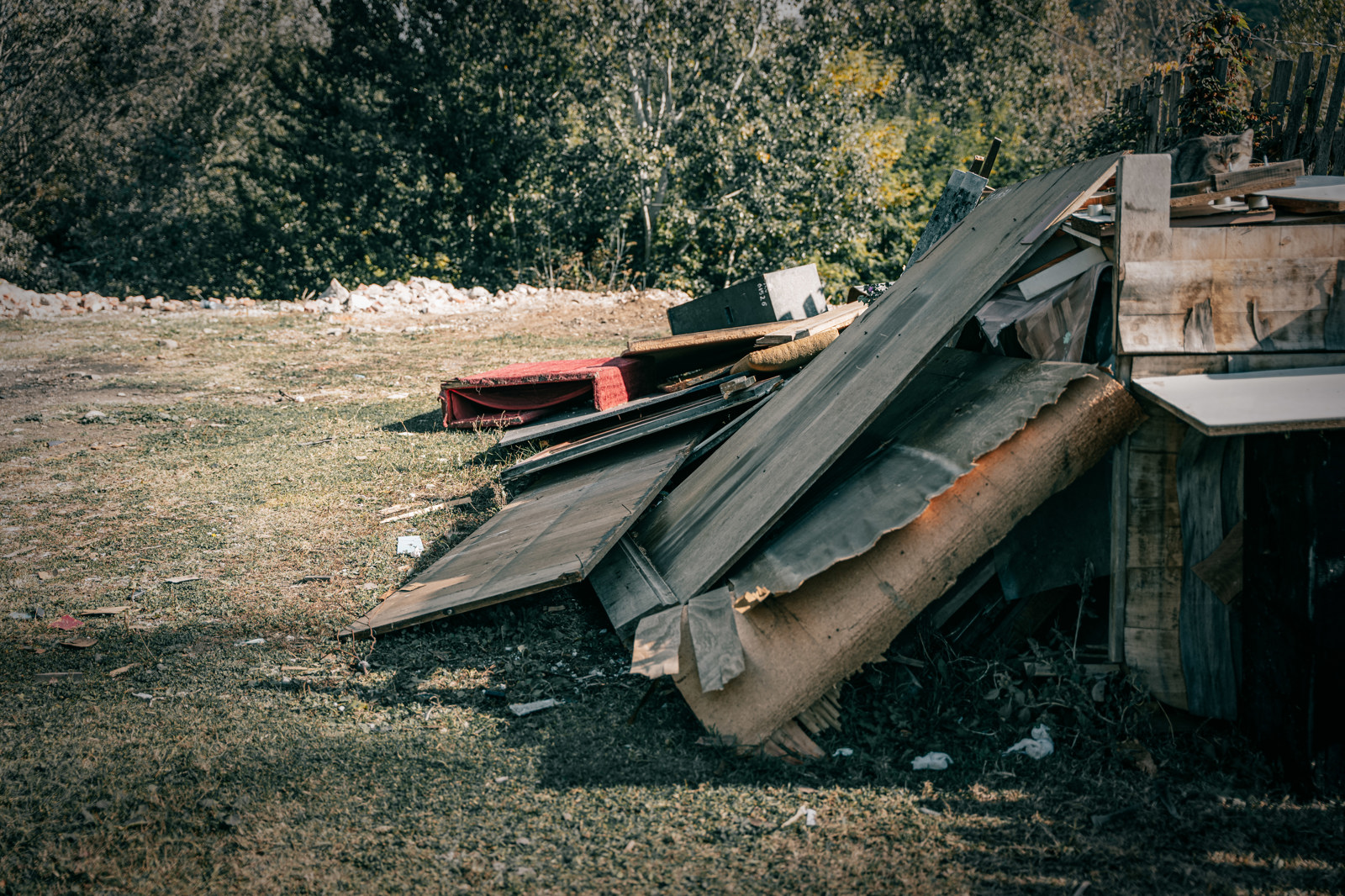Poza produs Concurs foto: OBIECTIV: Câmpina Curată