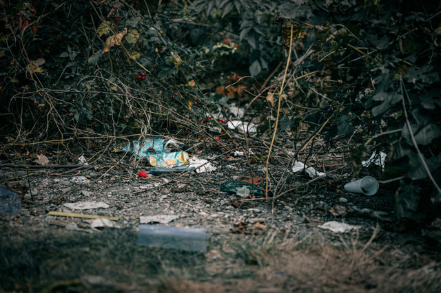 Poza produs Concurs foto: OBIECTIV: Câmpina Curată